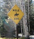 Image for Mule Crossing, Grand Canyon, Arizona