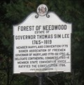 Image for Forest of Needlewood - Burkittsville, Maryland
