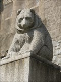 Image for The National Museum of Finland Bear - Helsinki, Finland