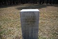 Image for 20th Tennessee Infantry Regiment Marker  - Chickamauga National Battlefield