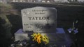 Image for Christopher Michael Taylor Grave Stone