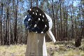 Image for Watch Trig in Oakwood State Forest NSW
