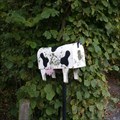 Image for Cow - Mont Saint Aubert, Belgium