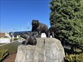Image for Mother and Cubs - Everett, WA