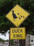Image for Duck Crossing - Montfort Dr - Addison, TX