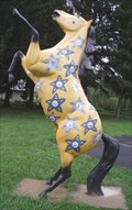 Image for Star of a Horse