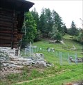 Image for Llama Farm Täsch - Wallis, Switzerland