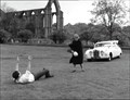 Image for Bolton Abbey, N Yorks, UK – This Sporting Life (1963)