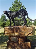 Image for Wildcat - Canadian, TX