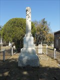 Image for Capt. John H. Stegin - Laurel Grove Cemetery - Savannah, GA