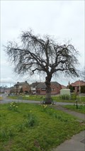 Image for Queen Victoria's Diamond Jubilee Tree - Hathern, Leicestershire