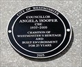 Image for Councillor Angela Hooper - Victoria Street, London, UK