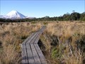 Image for Boardwalk on Silica Springs Track, Mt Ruapehu. North Is. New Zealand.