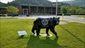 Image for Harlan County High School  Black Bear ~ Rosspoint, Kentucky.