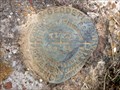 Image for BM0182 - "T 1030" bench mark disk - Austin County, TX