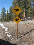 Image for Prairie Dog & Horseback Rider Crossing - Bryce Canyon National Park, UT