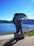 Image for Taming the Trout Photo Cutout - Te Anau, New Zealand
