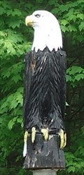 Image for Bald Eagle - Weedville, PA