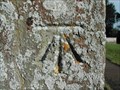 Image for Cut Bench Mark on St Mary Magdalen Church Wartling, Sussex