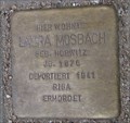 Image for Laura Mosbach