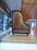 Image for Steinway Grand Piano (Interior) - NY, NY