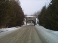 Image for Old Railroad Bridge - Balsam, Ontario, Canada