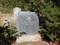 Image for Homer S. Johnston, Valley Brook Cemetery - Breckenridge, CO, USA