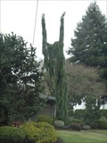Image for Sea Serpent Tree, Portland, Or