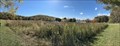 Image for Rocky Gap State Park's Sunflower Field - Flintstone, Maryland