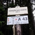 Image for 49°3'17.313"N, 13°28'17.428"E, Hakešická cesta, Czechia