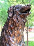 Image for Annie, the Railroad Dog - Fort Collins, CO