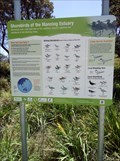Image for Shorebirds of Manning Estuary  - Old Bar, NSW,  Australia