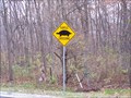 Image for Huron River Drive Turtle Crossing - Ann Arbor, Michigan