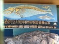 Image for Whale Fossil - Mission Viejo, CA