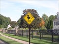 Image for Duck Crossing - Southington, CT