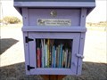Image for Hunter Road Little Free Library - San Marcos, TX