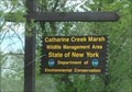 Image for Catharine Creek Marsh Wildlife Management Area  - Watkins Glen, NY