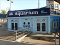 Image for Santa Monica Pier Aquarium  -  Santa Monica, CA