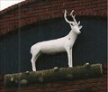 Image for White Deer - White Deer, TX