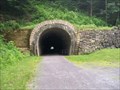 Image for Staple Bend Tunnel