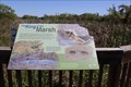 Image for King of the Marsh -- Aransas National Wildlife Refuge, Austwell TX USA