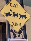 Image for Cat Crossing - Cañon City, CO
