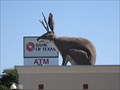 Image for The Jackalope - Fort Worth, TX