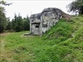 Image for Infantry blockhouse R-S 89 - Orlicke mountains, Czech Republic