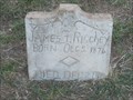 Image for James F. Ritchey - Perryman Cemetery, Forestburg, TX