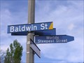 Image for STEEPEST STREET IN THE WORLD - Baldwin Street. Dunedin. New Zealand.
