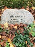 Image for 100 - Elly Tengberg - Kerteminde, Danmark