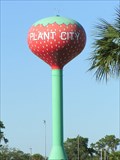 Image for Plant City Strawberry Water Tower