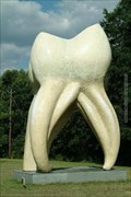Image for Giant Tooth
