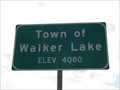Image for Town of Walker Lake, NV (Northern Approach) - 4080'